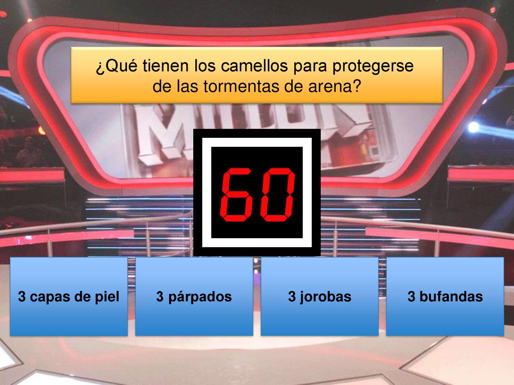 ¿Qué tienen los camellos para protegerse de las tormentas de arena