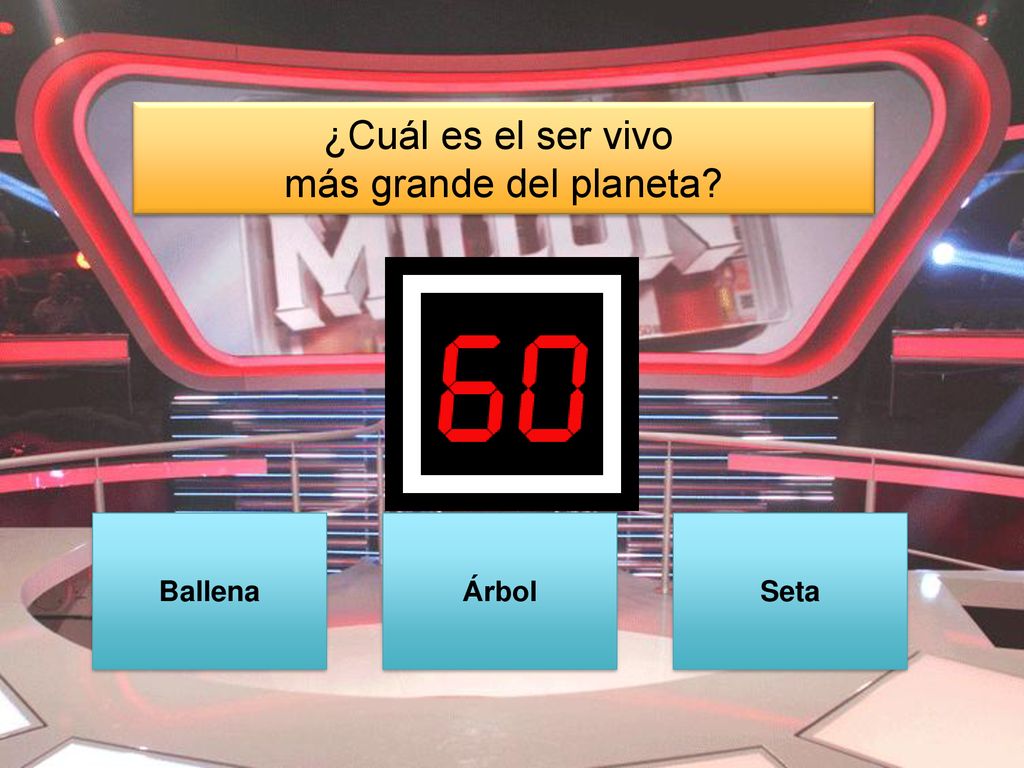 ¿Cuál es el ser vivo más grande del planeta Ballena Árbol Seta