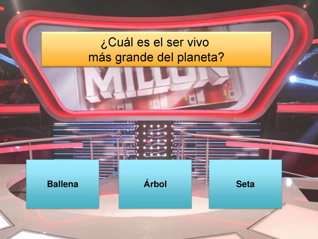 ¿Cuál es el ser vivo más grande del planeta Ballena Árbol Seta