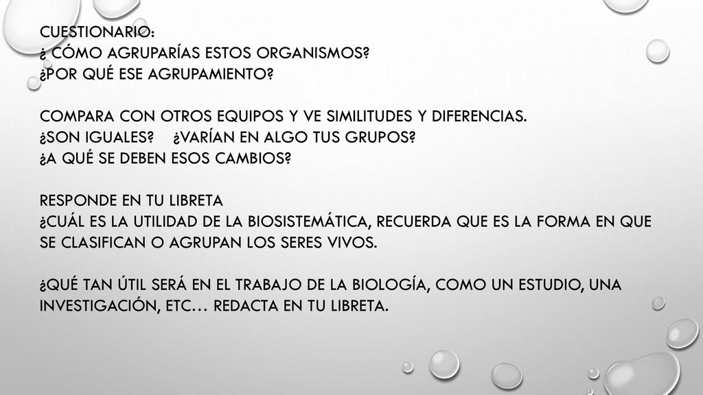CUESTIONARIO: ¿ CÓMO AGRUPARÍAS ESTOS ORGANISMOS ¿POR QUÉ ESE AGRUPAMIENTO COMPARA CON OTROS EQUIPOS Y VE SIMILITUDES Y DIFERENCIAS.