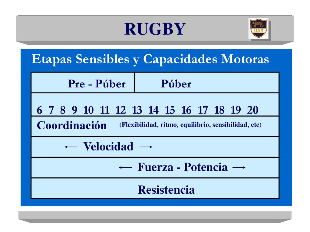 RUGBY Etapas Sensibles y Capacidades Motoras Pre - Púber Púber