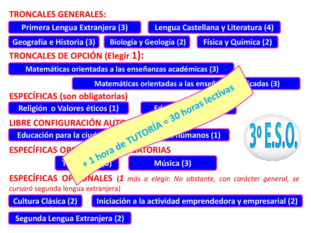 Del + 1 hora de TUTORÍA = 30 horas lectivas TRONCALES GENERALES: