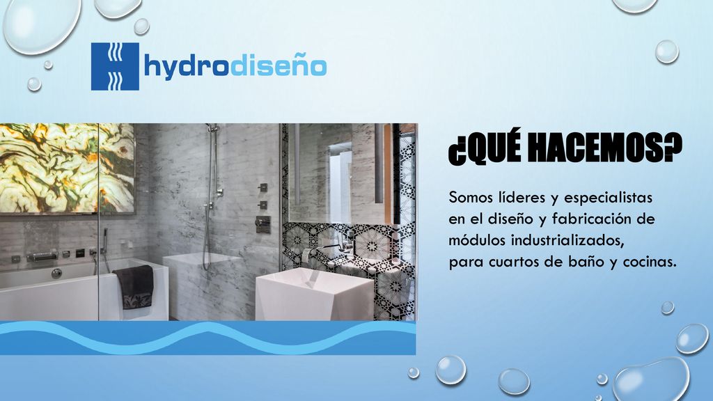 ¿QUÉ HACEMOS Somos líderes y especialistas