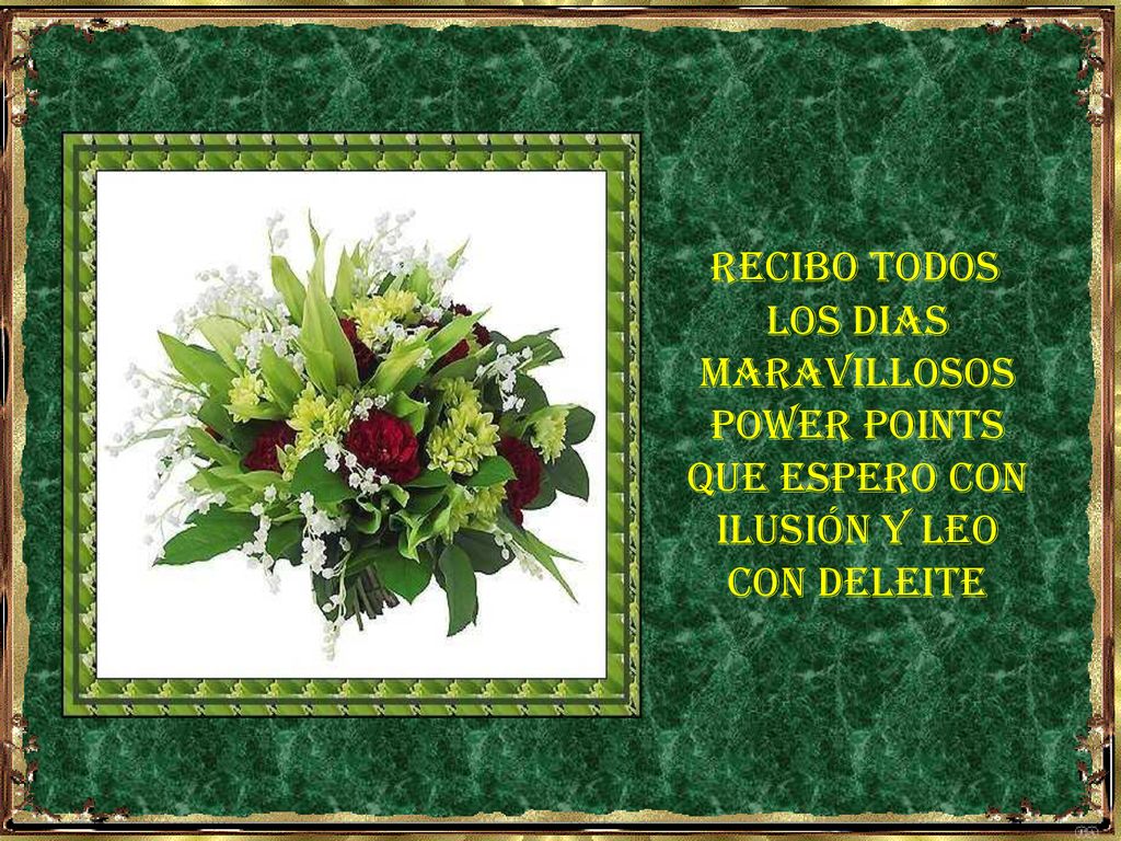 RECIBO TODOS LOS DIAS MARAVILLOSOS POWER POINTS QUE ESPERO CON ILUSIÓN Y LEO CON DELEITE