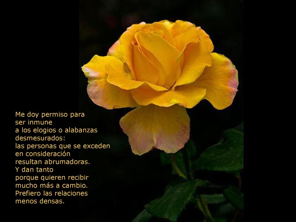 Me doy permiso para ser inmune. a los elogios o alabanzas. desmesurados: las personas que se exceden.