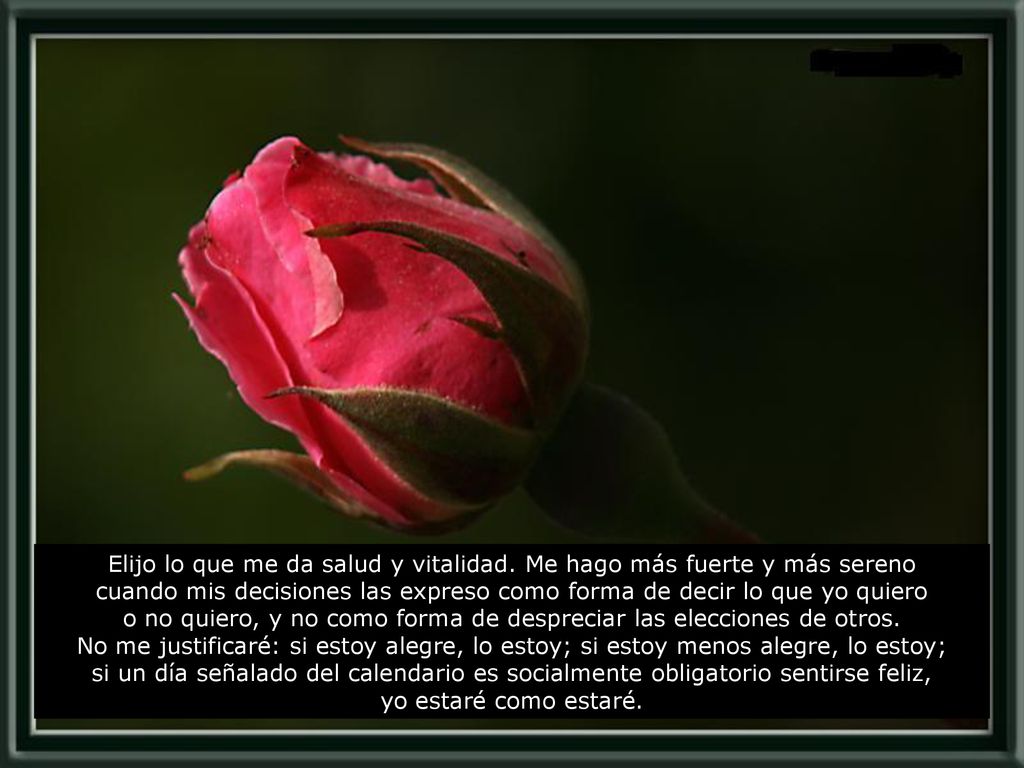 Elijo lo que me da salud y vitalidad. Me hago más fuerte y más sereno
