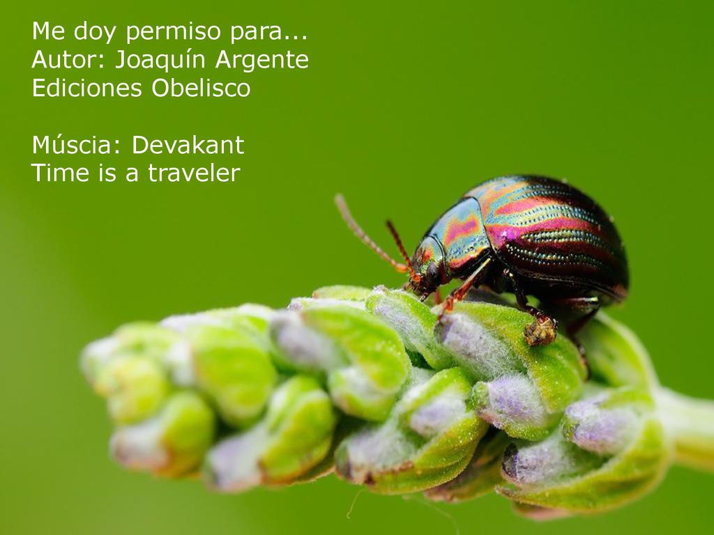 Me doy permiso para... Autor: Joaquín Argente Ediciones Obelisco Múscia: Devakant Time is a traveler