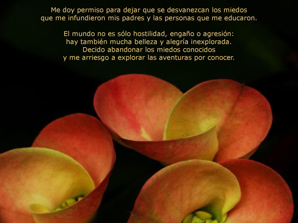 Me doy permiso para dejar que se desvanezcan los miedos que me infundieron mis padres y las personas que me educaron.