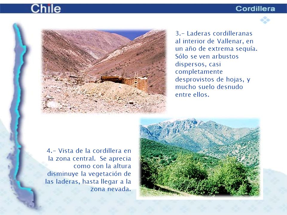 3.- Laderas cordilleranas al interior de Vallenar, en un año de extrema sequía. Sólo se ven arbustos dispersos, casi completamente desprovistos de hojas, y mucho suelo desnudo entre ellos.
