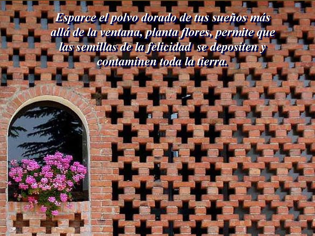 Esparce el polvo dorado de tus sueños más allá de la ventana, planta flores, permite que las semillas de la felicidad se depositen y contaminen toda la tierra.