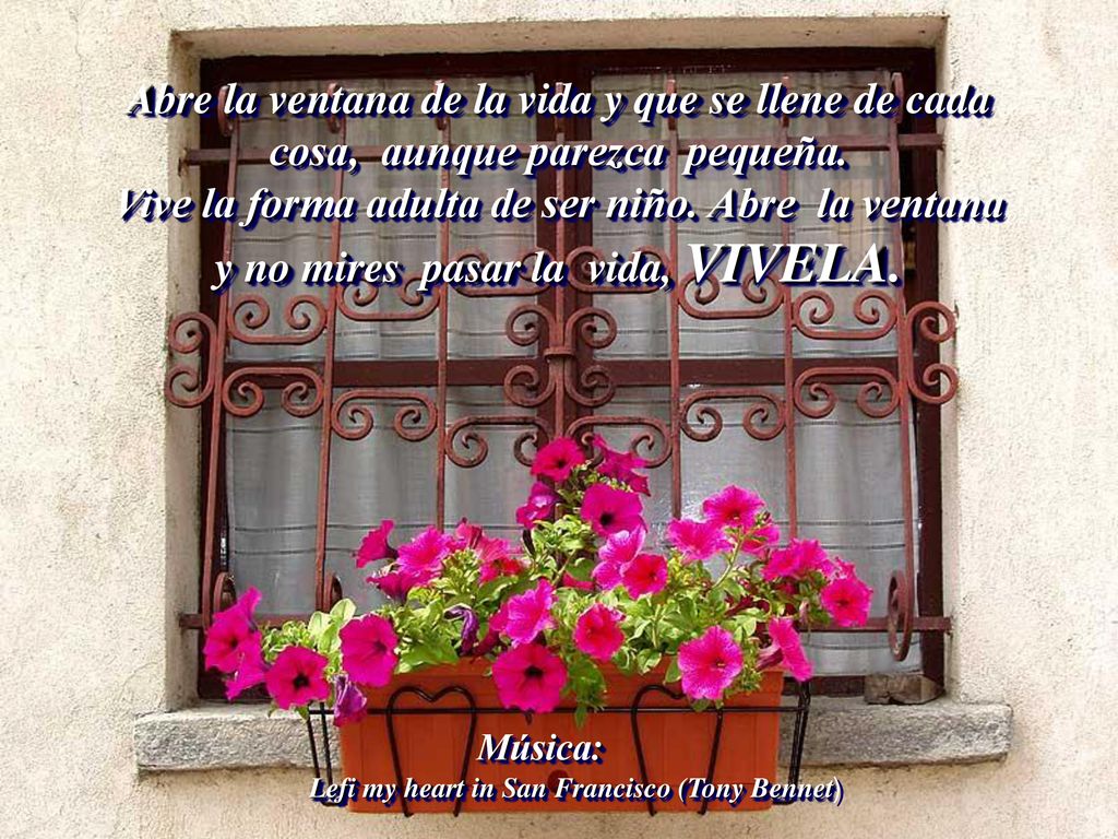 Abre la ventana de la vida y que se llene de cada cosa, aunque parezca pequeña. Vive la forma adulta de ser niño. Abre la ventana y no mires pasar la vida, VIVELA.