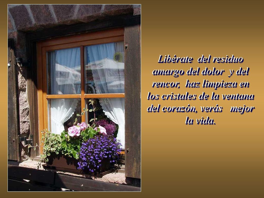 Libérate del residuo amargo del dolor y del rencor, haz limpieza en los cristales de la ventana del corazón, verás mejor la vida.
