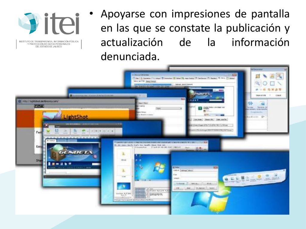 Apoyarse con impresiones de pantalla en las que se constate la publicación y actualización de la información denunciada.