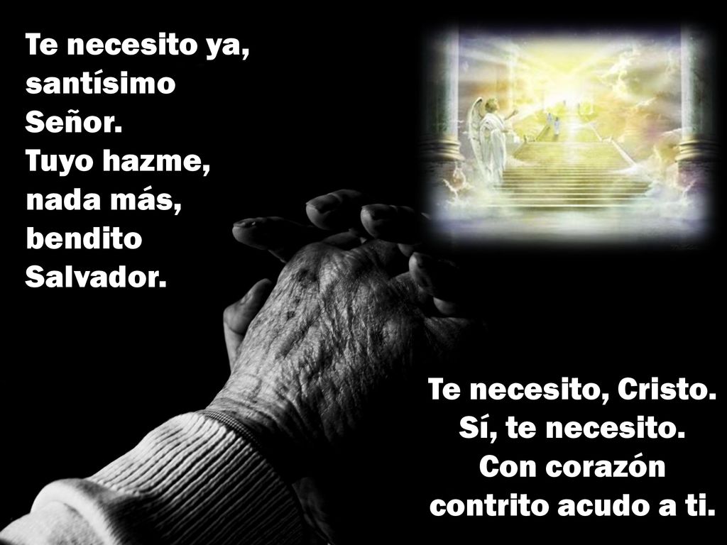 Te necesito, Cristo. Sí, te necesito. Con corazón contrito acudo a ti.