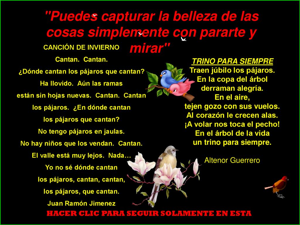 Puedes capturar la belleza de las cosas simplemente con pararte y mirar