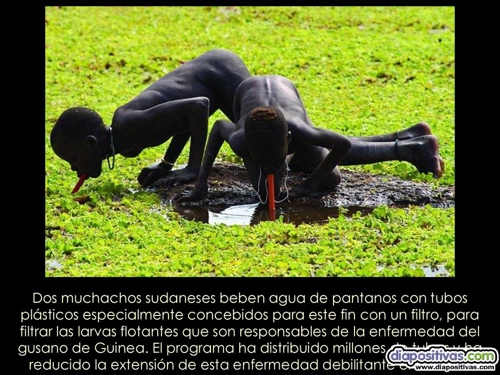 Dos muchachos sudaneses beben agua de pantanos con tubos plásticos especialmente concebidos para este fin con un filtro, para filtrar las larvas flotantes que son responsables de la enfermedad del gusano de Guinea.