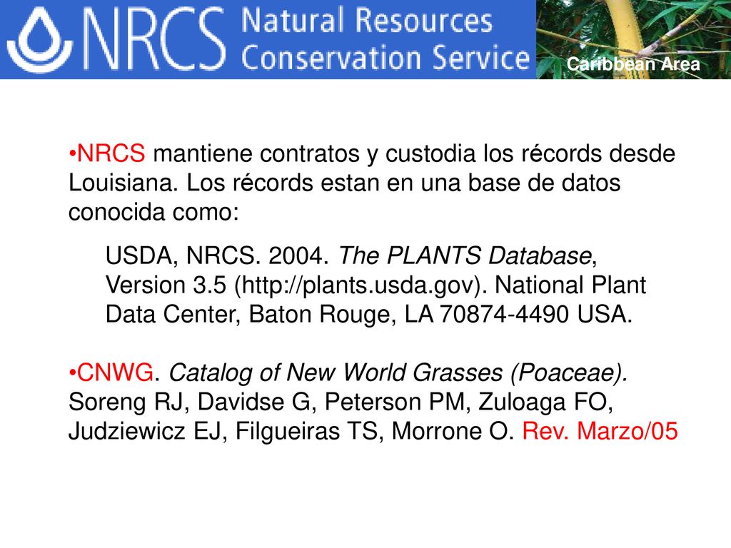 Caribbean Area NRCS mantiene contratos y custodia los récords desde Louisiana. Los récords estan en una base de datos conocida como: