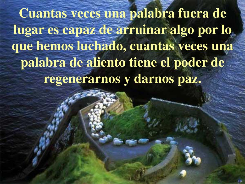 Cuantas veces una palabra fuera de lugar es capaz de arruinar algo por lo que hemos luchado, cuantas veces una palabra de aliento tiene el poder de regenerarnos y darnos paz.