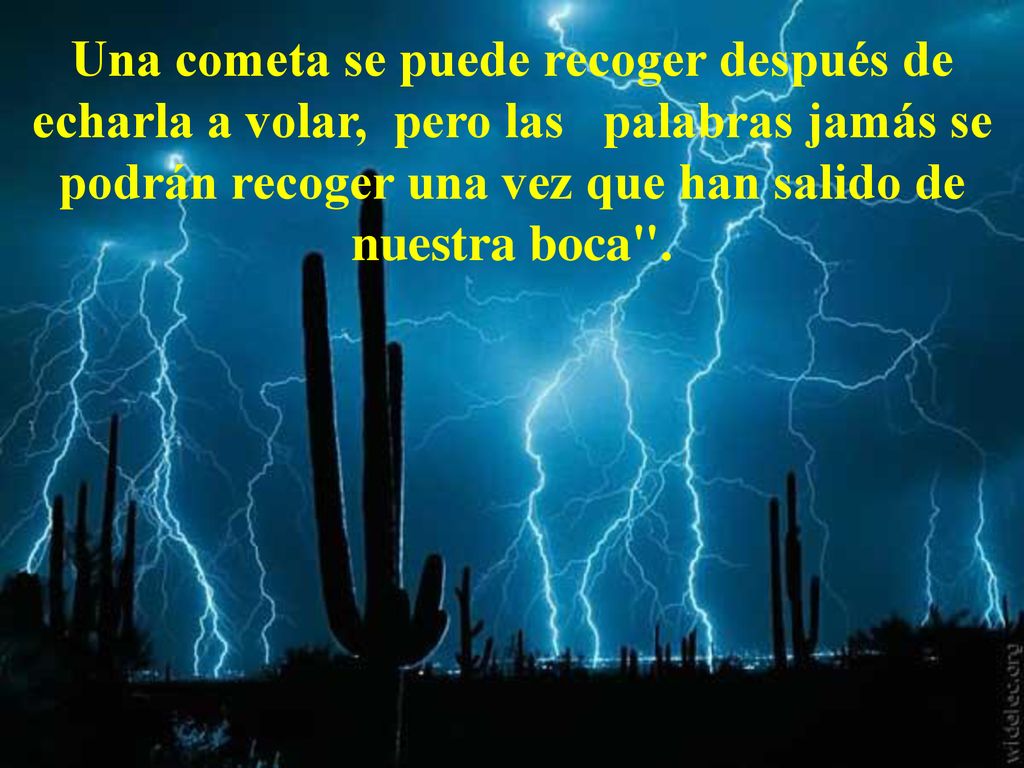 Una cometa se puede recoger después de echarla a volar, pero las palabras jamás se podrán recoger una vez que han salido de nuestra boca .