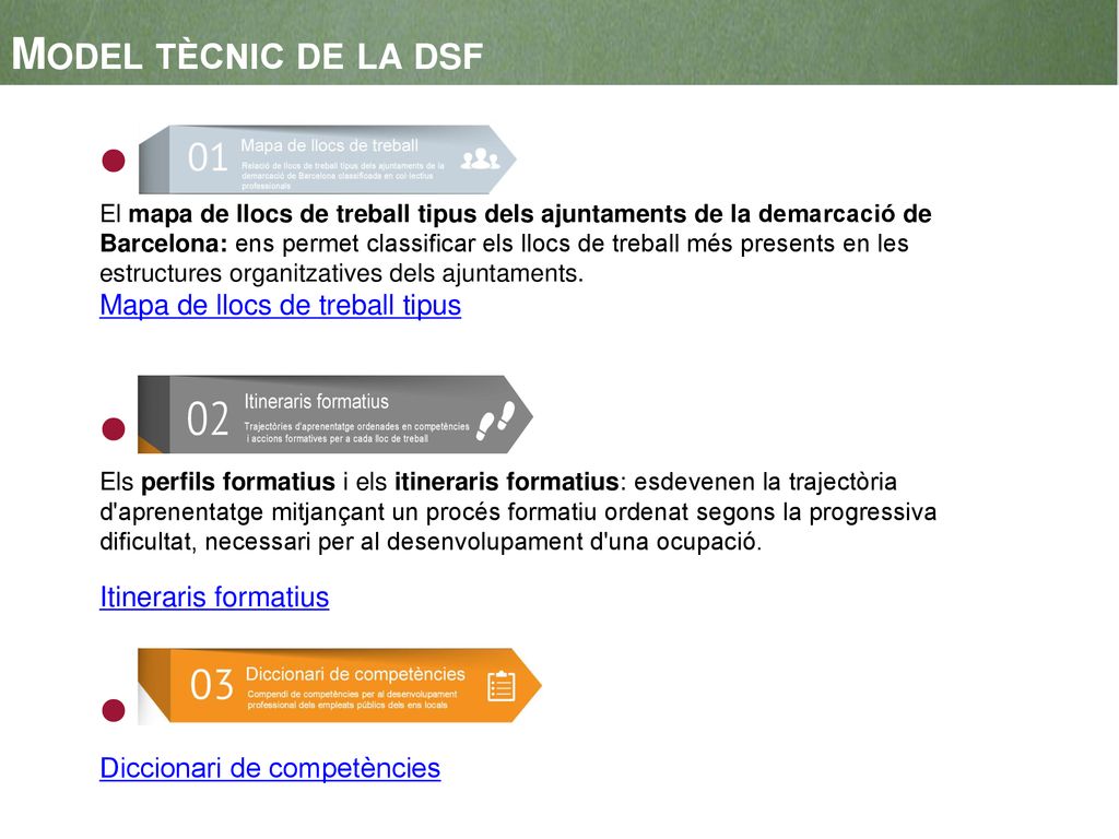 Model tècnic de la dsf ● Mapa de llocs de treball tipus