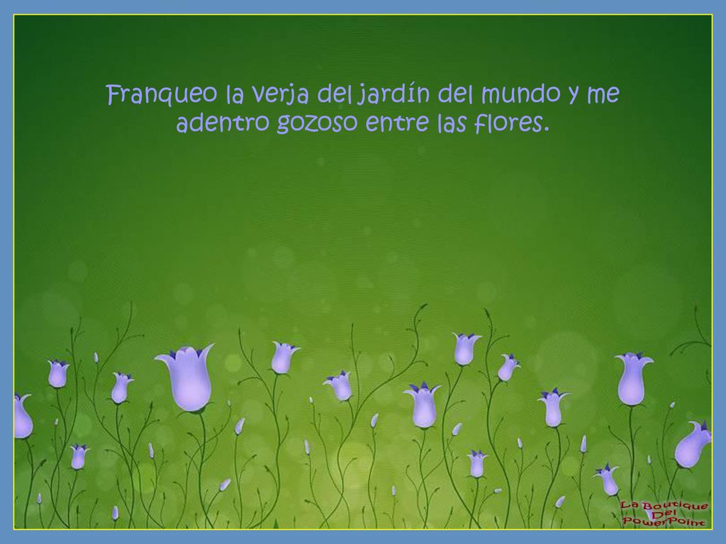 Franqueo la verja del jardín del mundo y me adentro gozoso entre las flores.