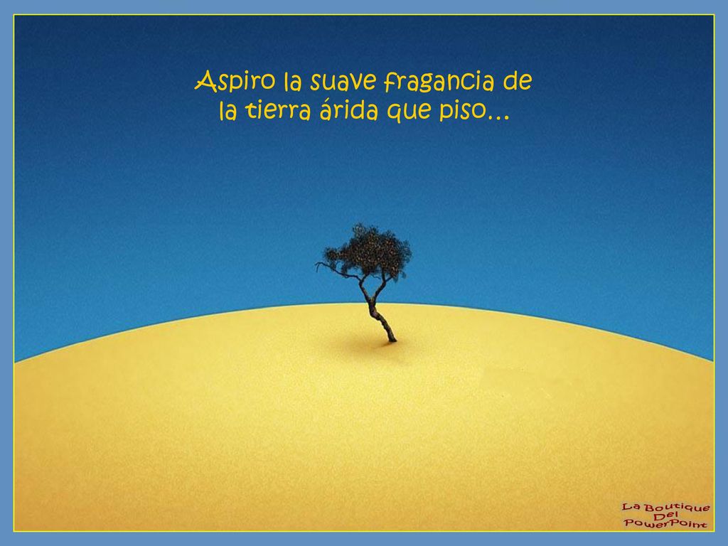 Aspiro la suave fragancia de la tierra árida que piso…