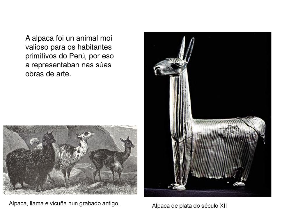 A alpaca foi un animal moi valioso para os habitantes primitivos do Perú, por eso a representaban nas súas obras de arte.
