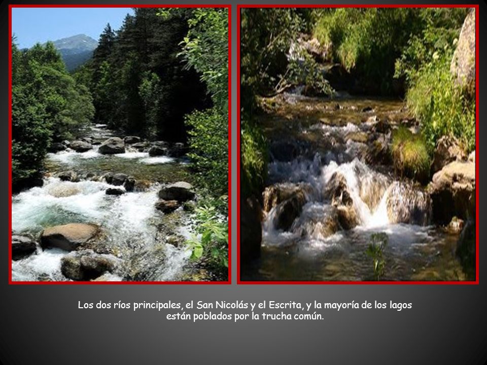 Los dos ríos principales, el San Nicolás y el Escrita, y la mayoría de los lagos están poblados por la trucha común.
