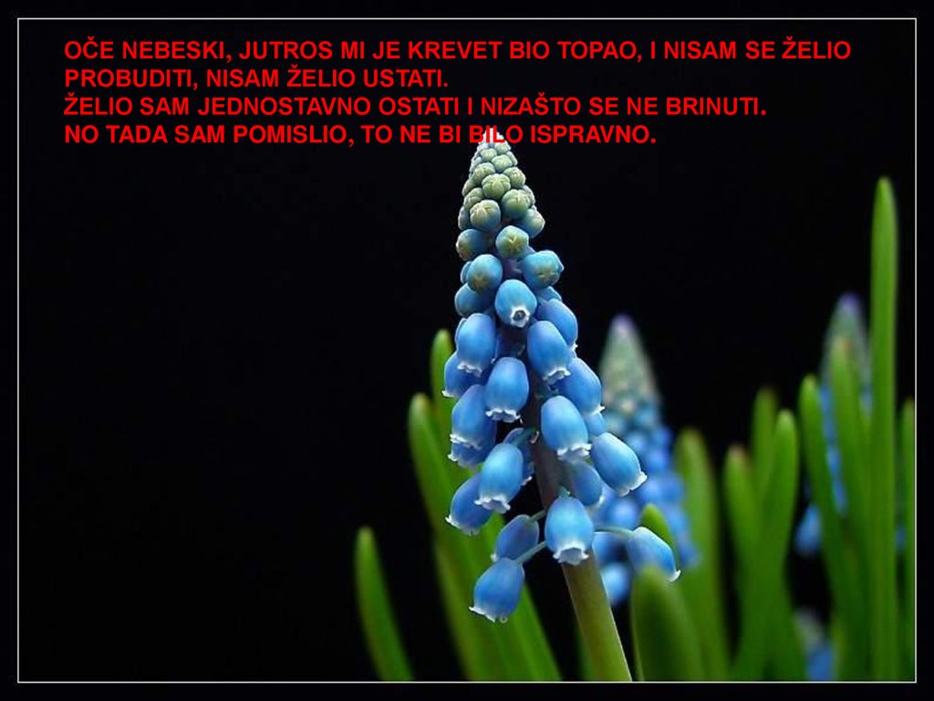 OČE NEBESKI, JUTROS MI JE KREVET BIO TOPAO, I NISAM SE ŽELIO