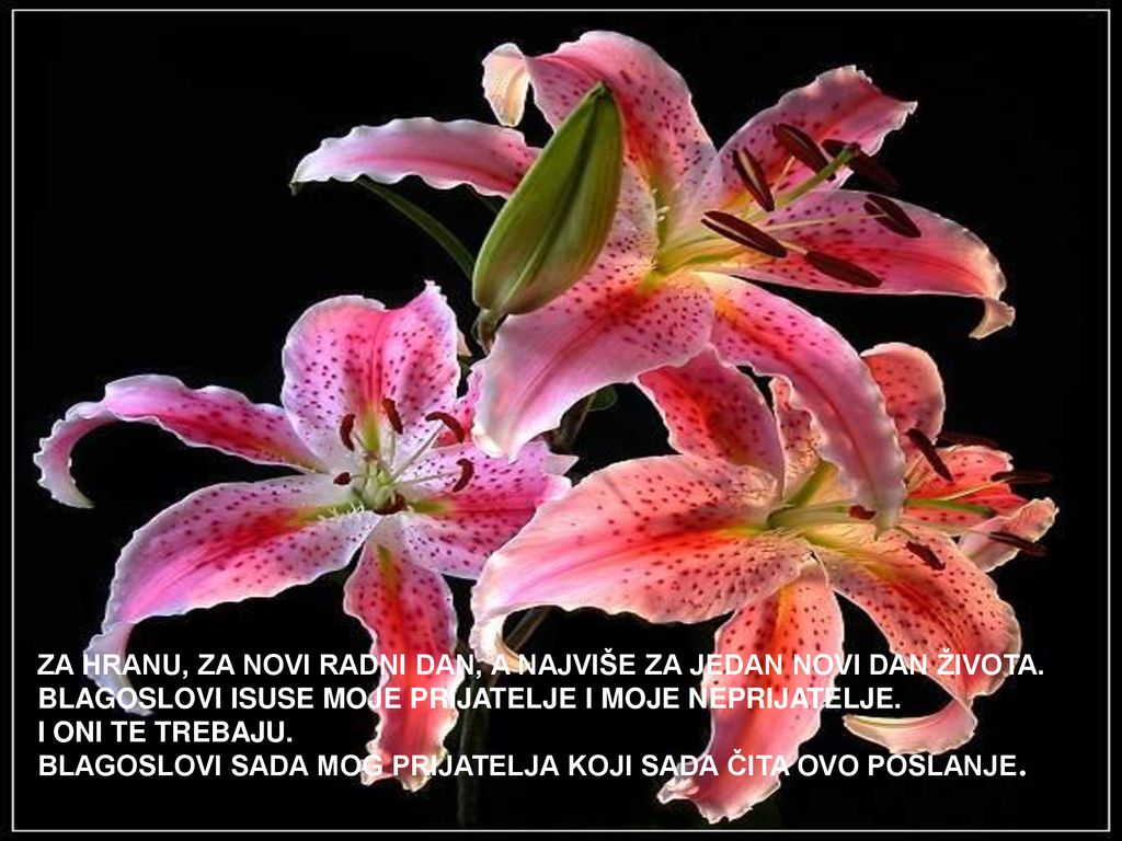 ZA HRANU, ZA NOVI RADNI DAN, A NAJVIŠE ZA JEDAN NOVI DAN ŽIVOTA.