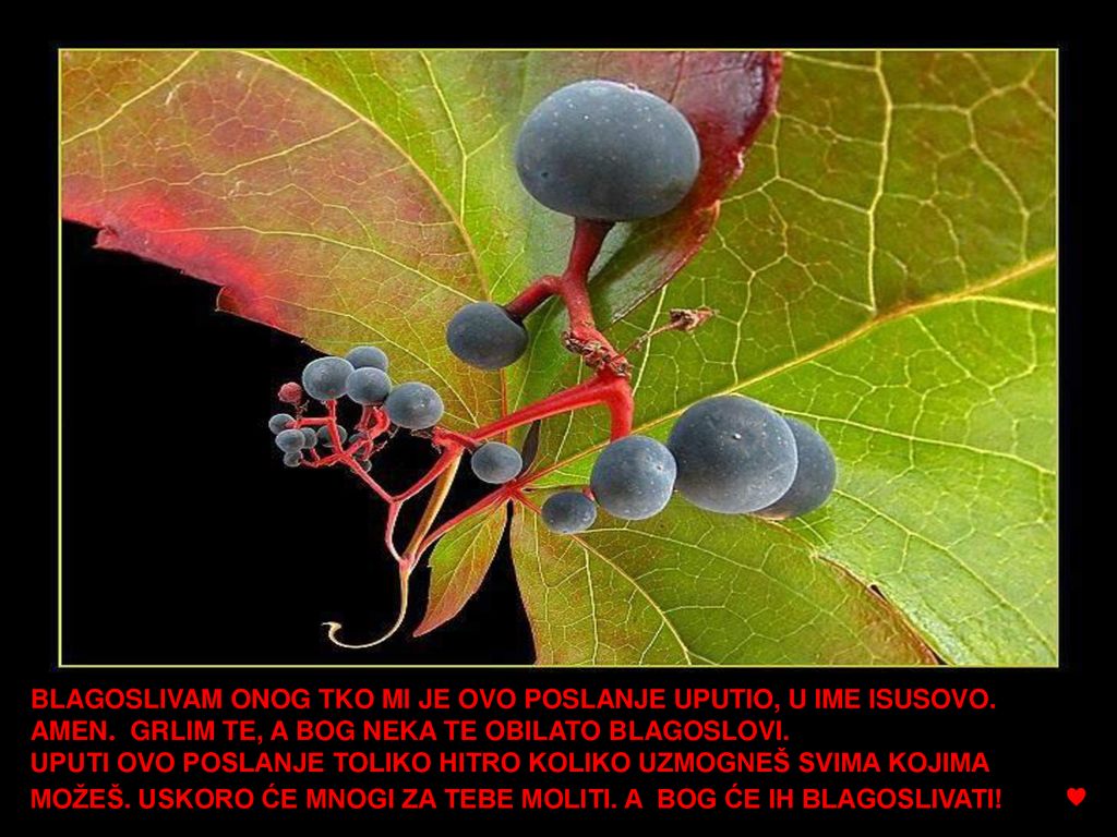 BLAGOSLIVAM ONOG TKO MI JE OVO POSLANJE UPUTIO, U IME ISUSOVO.