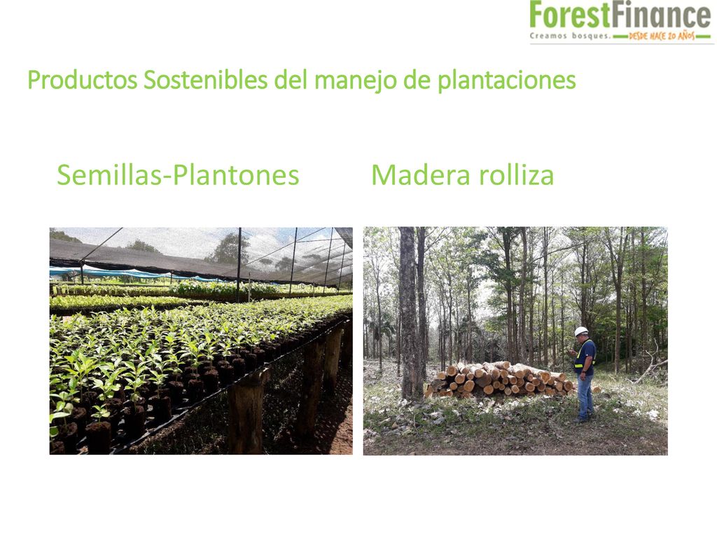 Productos Sostenibles del manejo de plantaciones