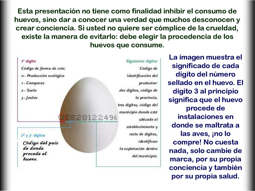 Esta presentación no tiene como finalidad inhibir el consumo de huevos, sino dar a conocer una verdad que muchos desconocen y crear conciencia. Si usted no quiere ser cómplice de la crueldad, existe la manera de evitarlo: debe elegir la procedencia de los huevos que consume.