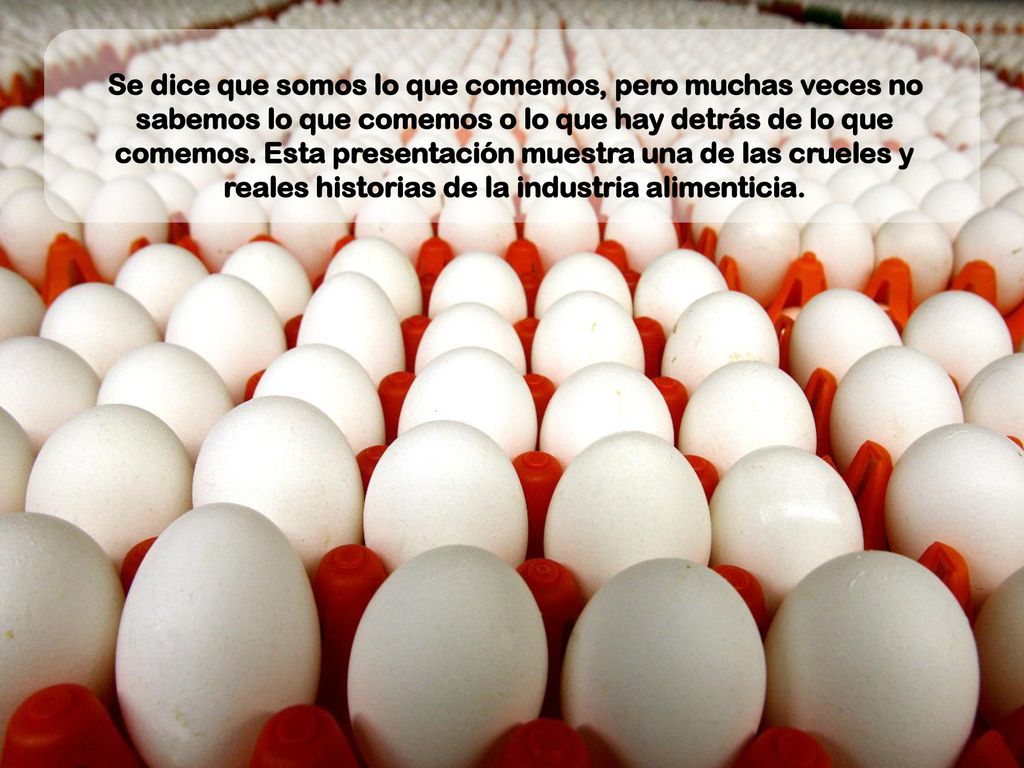 Se dice que somos lo que comemos, pero muchas veces no sabemos lo que comemos o lo que hay detrás de lo que comemos.