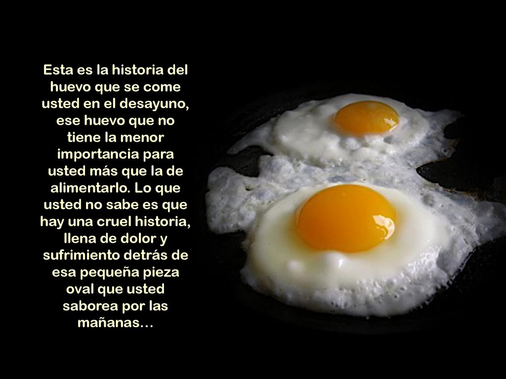 Esta es la historia del huevo que se come usted en el desayuno, ese huevo que no tiene la menor importancia para usted más que la de alimentarlo.