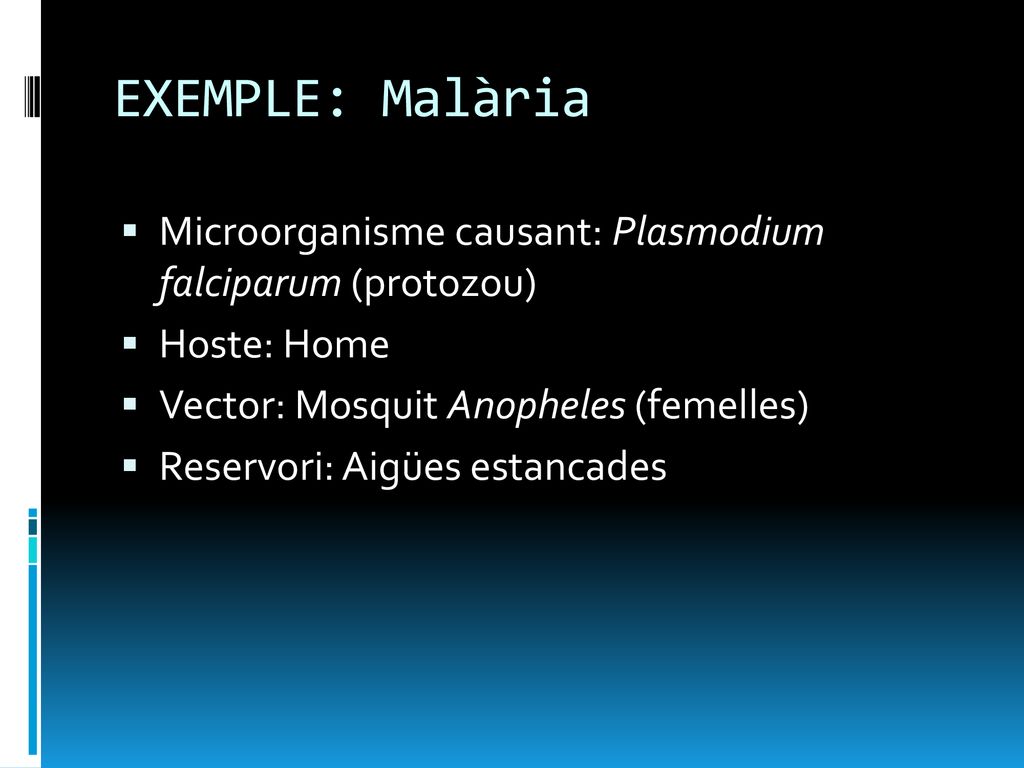 EXEMPLE: Malària Microorganisme causant: Plasmodium falciparum (protozou) Hoste: Home. Vector: Mosquit Anopheles (femelles)