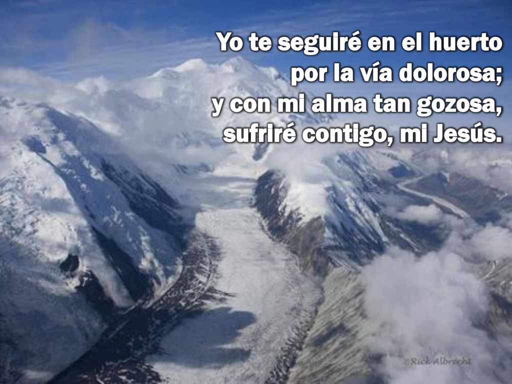 Yo te seguiré en el huerto por la vía dolorosa; y con mi alma tan gozosa, sufriré contigo, mi Jesús.