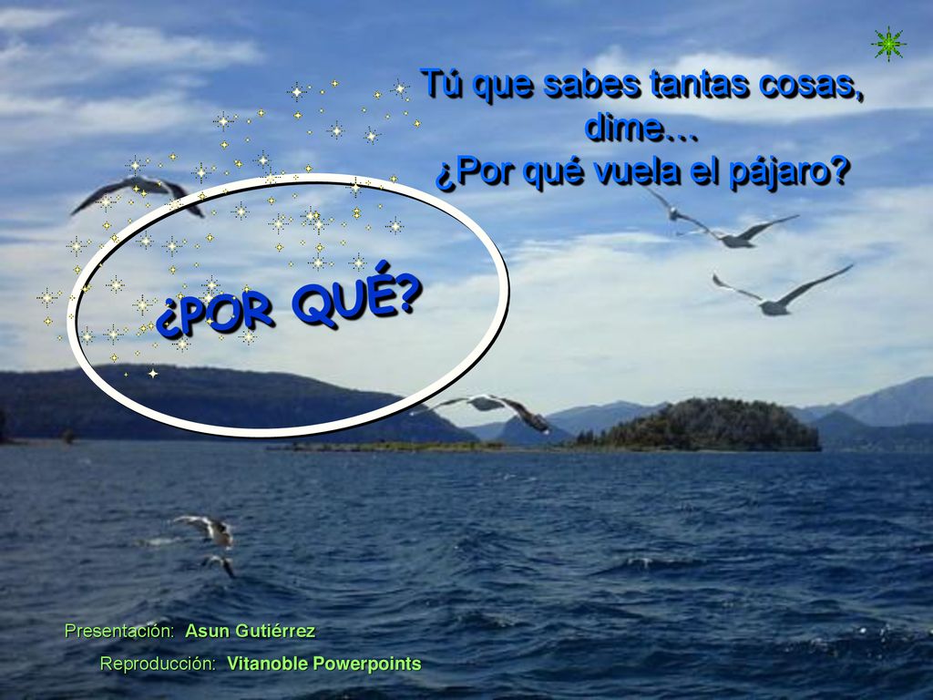 ¿POR QUÉ Tú que sabes tantas cosas, dime… ¿Por qué vuela el pájaro