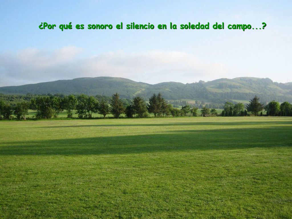 ¿Por qué es sonoro el silencio en la soledad del campo...
