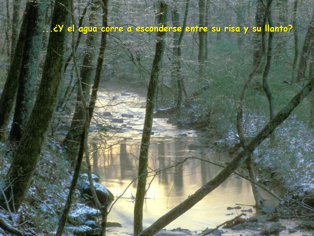 ...¿Y el agua corre a esconderse entre su risa y su llanto