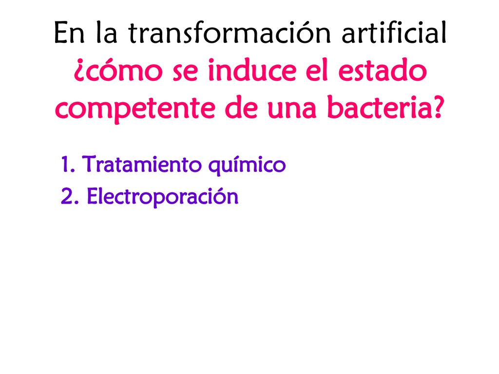 En la transformación artificial ¿cómo se induce el estado competente de una bacteria