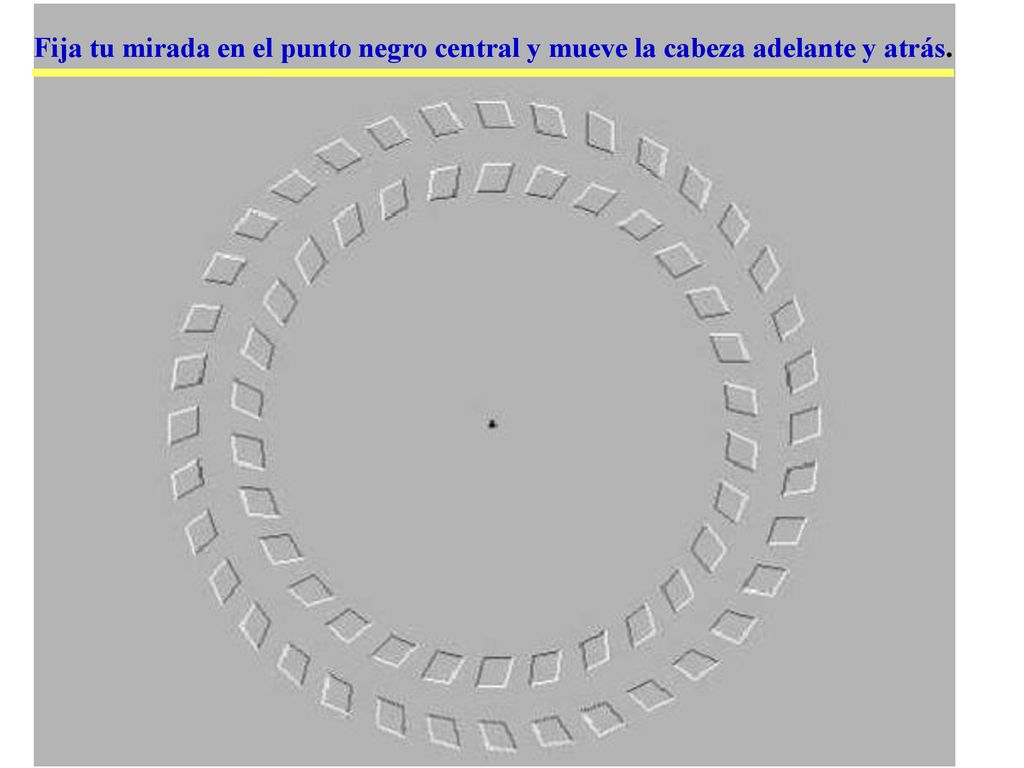 Fija tu mirada en el punto negro central y mueve la cabeza adelante y atrás.