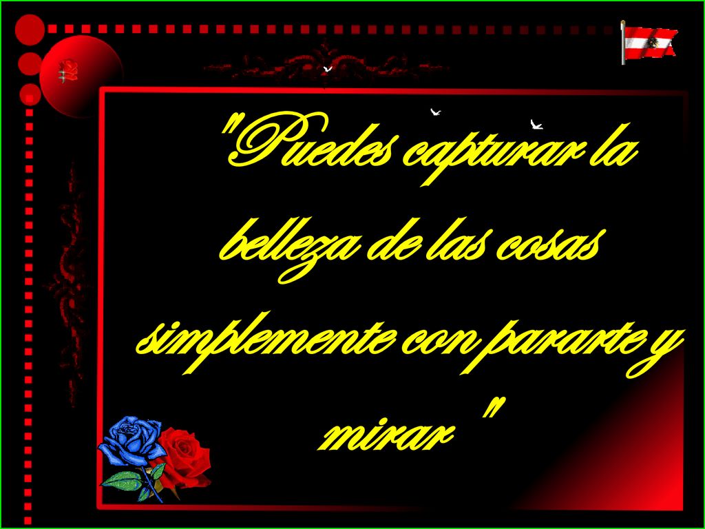 Puedes capturar la belleza de las cosas simplemente con pararte y mirar