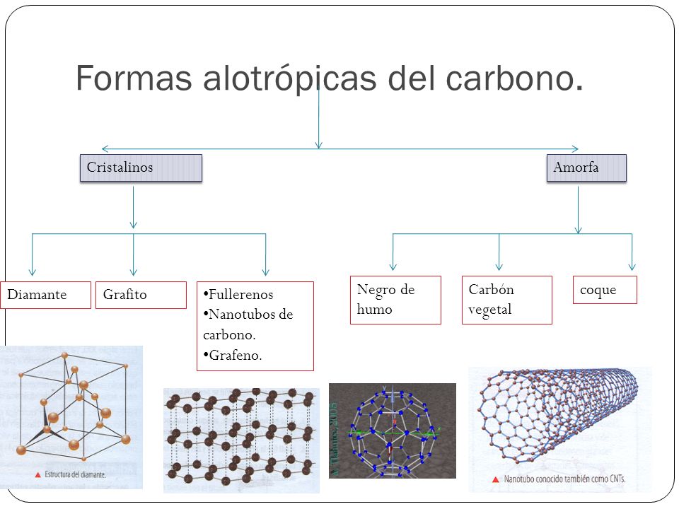 Formas alotrópicas del carbono.