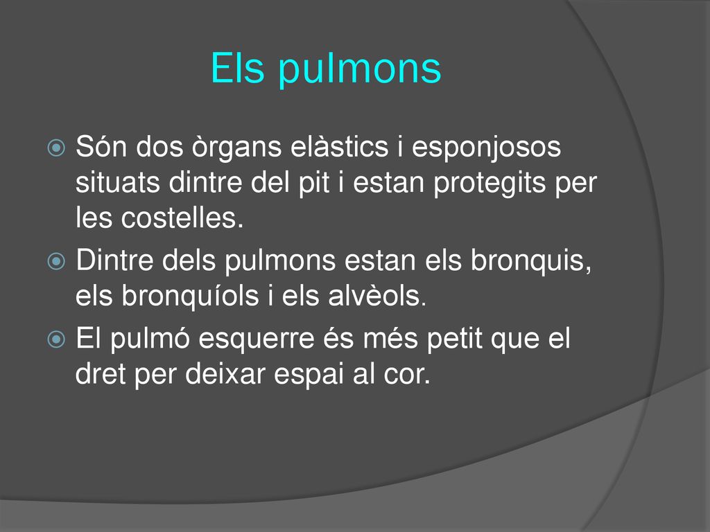 Els pulmons Són dos òrgans elàstics i esponjosos situats dintre del pit i estan protegits per les costelles.