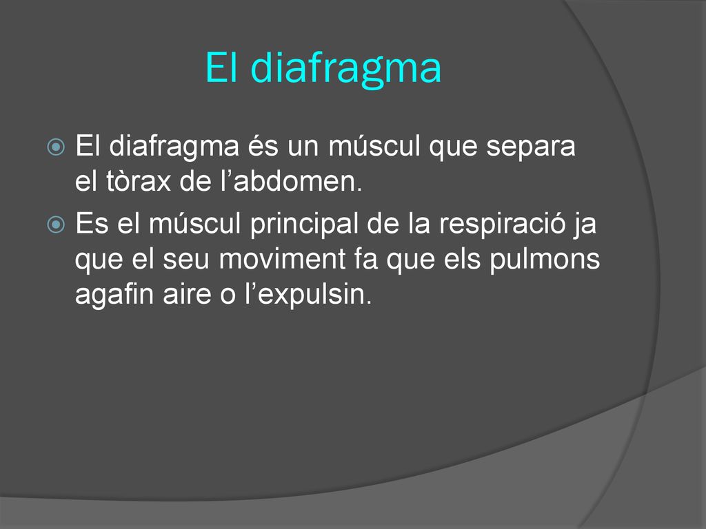 El diafragma El diafragma és un múscul que separa el tòrax de l’abdomen.