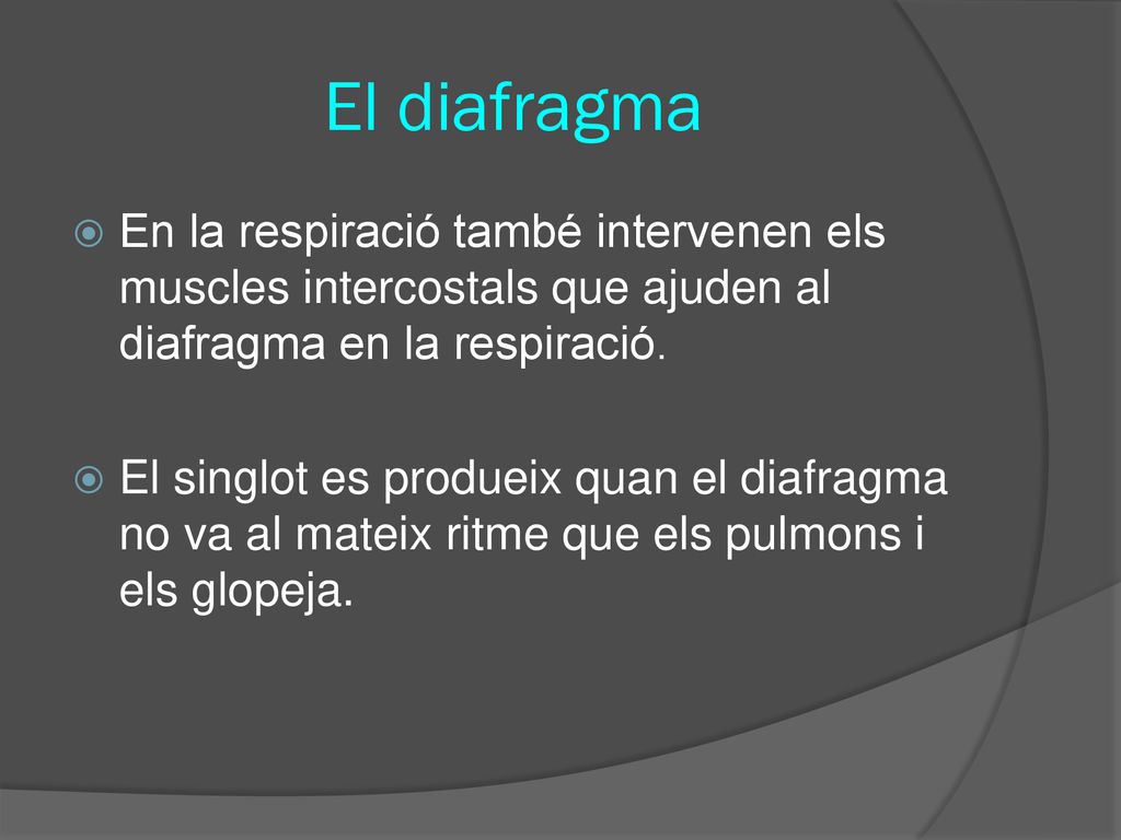 El diafragma En la respiració també intervenen els muscles intercostals que ajuden al diafragma en la respiració.