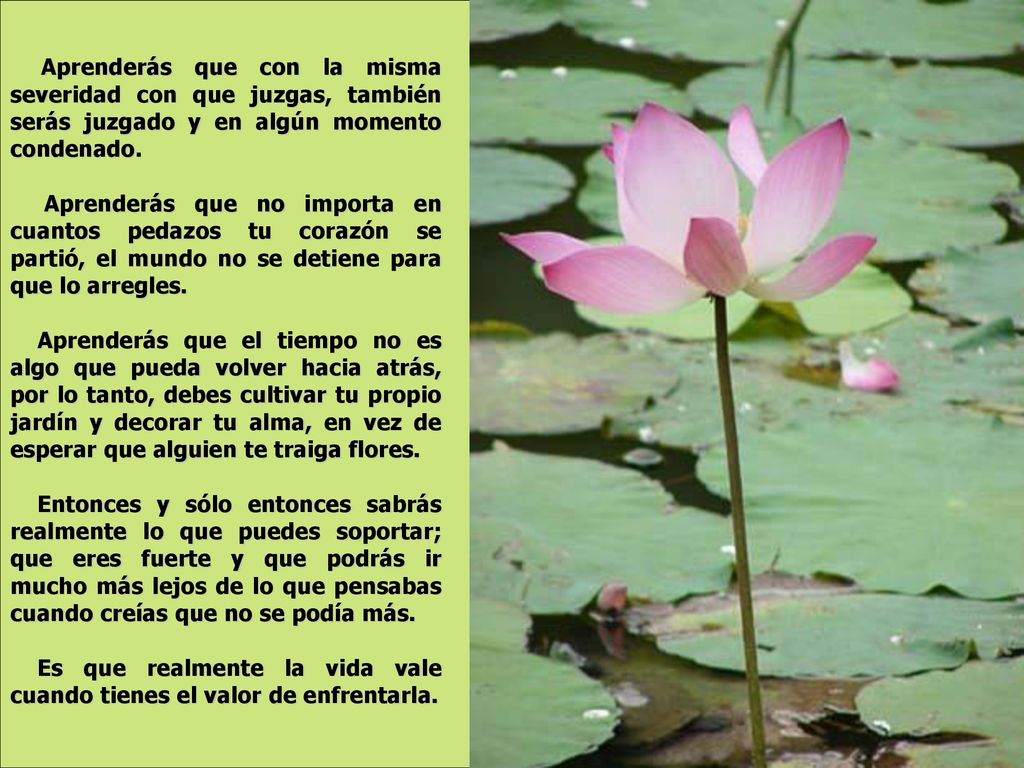 Aprenderás que con la misma severidad con que juzgas, también serás juzgado y en algún momento condenado.