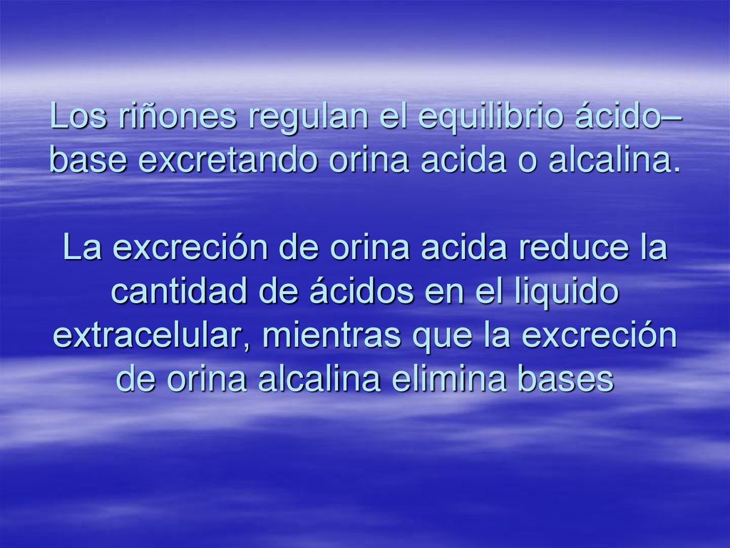 Los riñones regulan el equilibrio ácido–base excretando orina acida o alcalina.