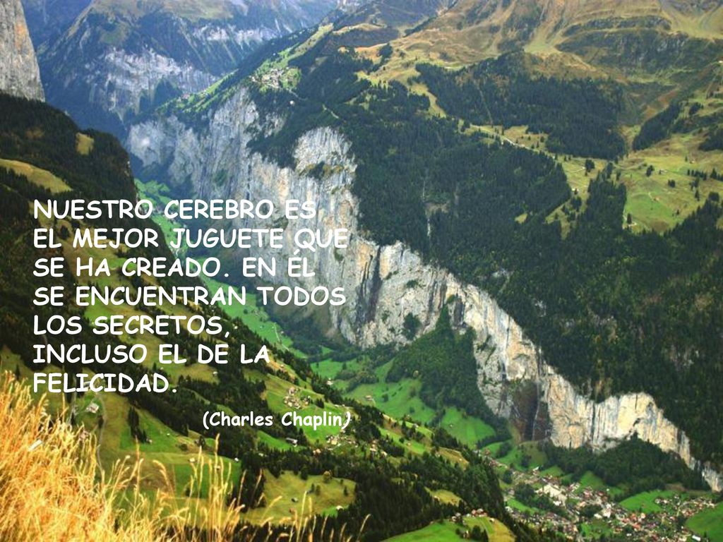 NUESTRO CEREBRO ES EL MEJOR JUGUETE QUE SE HA CREADO